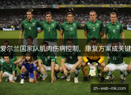 爱尔兰国家队肌肉伤病控制，康复方案成关键